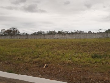 Terreno em Condomnio - Venda - Quiririm - Taubate - SP